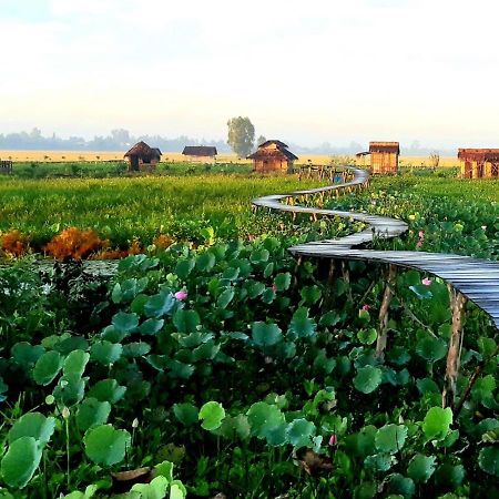 Viet Mekong Farmstay Tràm Chim 外观 照片